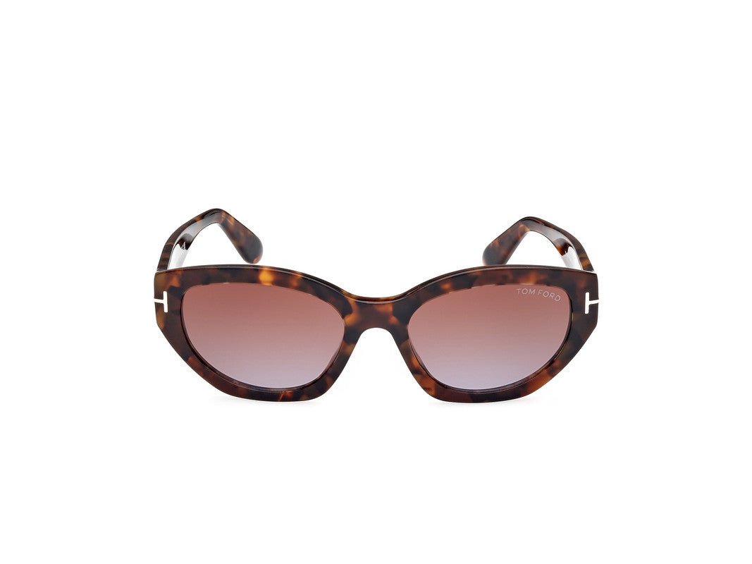 Dark Havana Female Sunglasses Tom Ford 889214469397