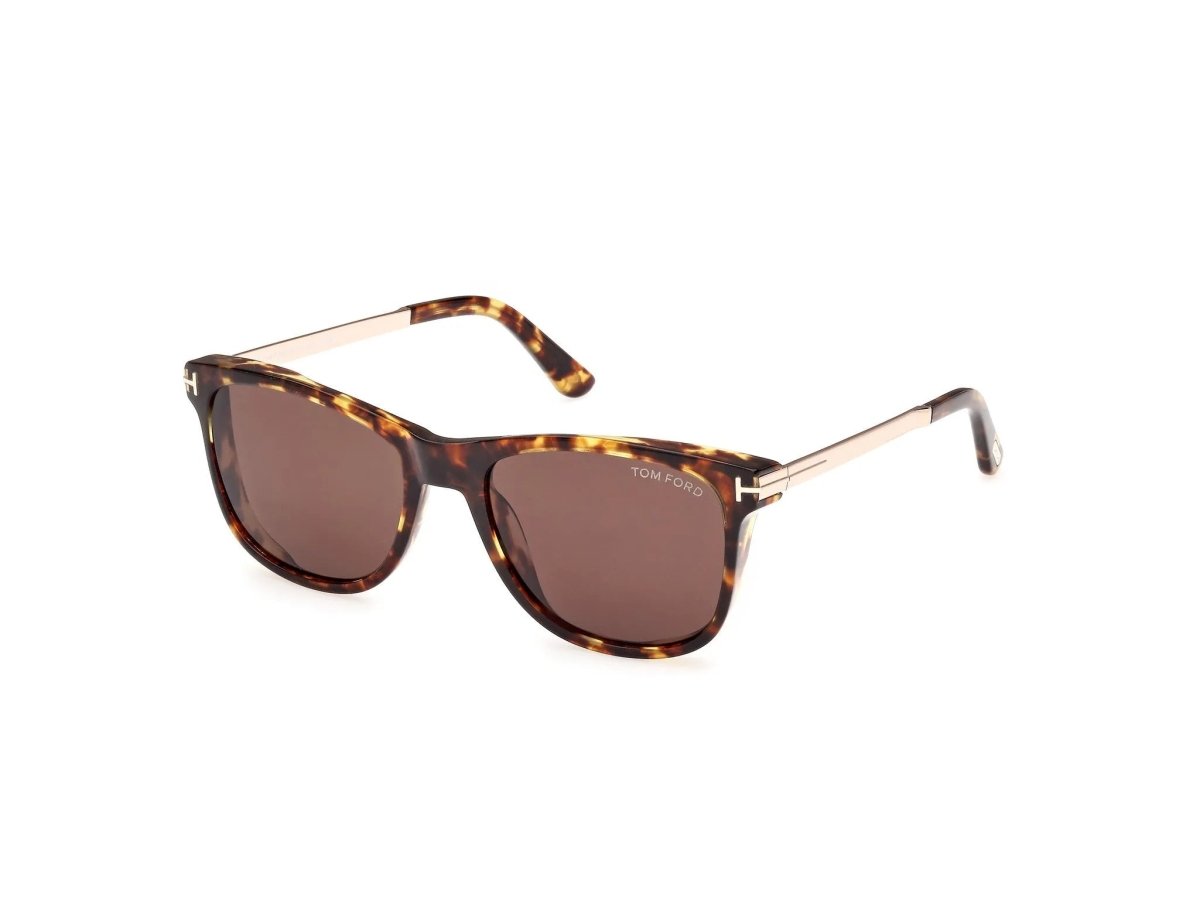 FT1104 Sinatra - Tom Ford - Dark Havana(52E) - 53mm - Ardor Eyewear 889214479716