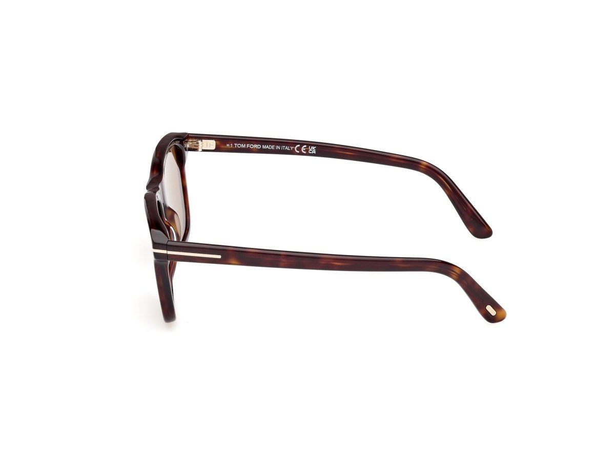 Dark Havana Brown Male Sunglasses Tom Ford 889214549013
