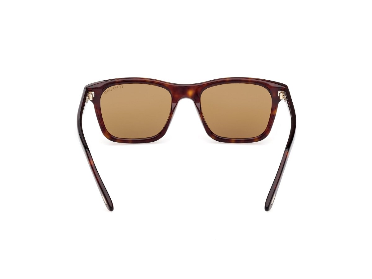 Dark Havana Brown Male Sunglasses Tom Ford 889214549013