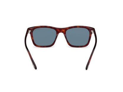 Red Havana Male Sunglasses Tom Ford 889214549020