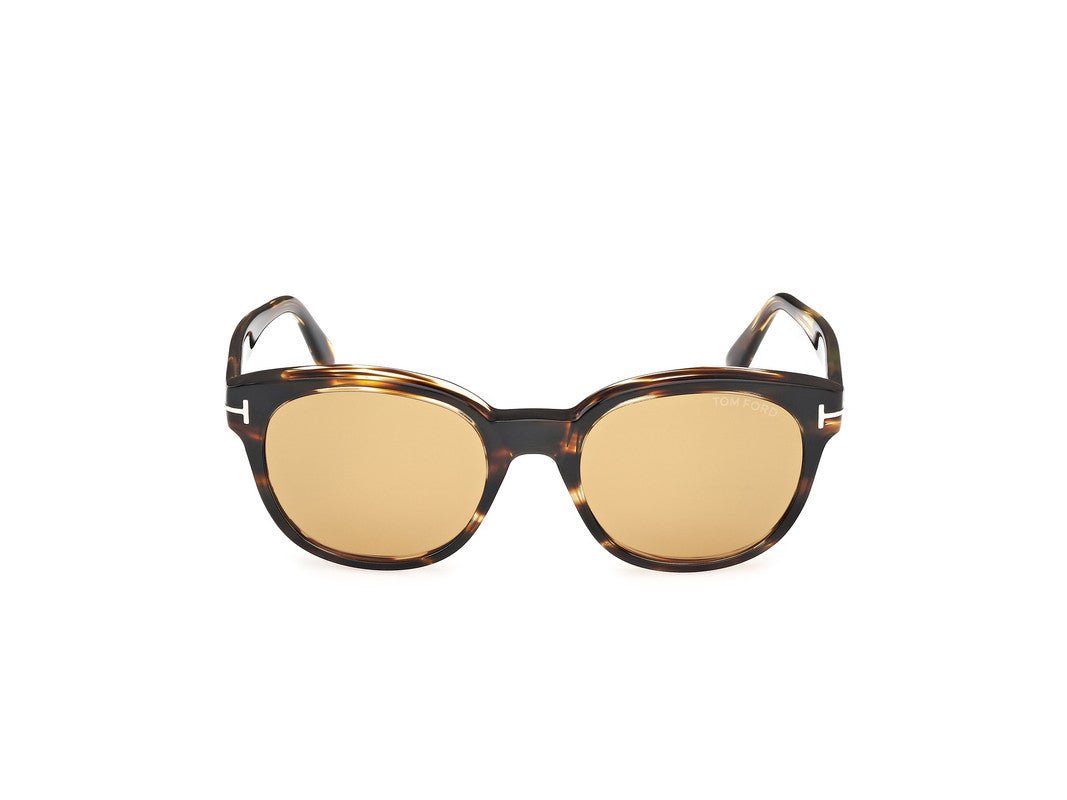 Dark Havana Male Sunglasses Tom Ford 889214549051