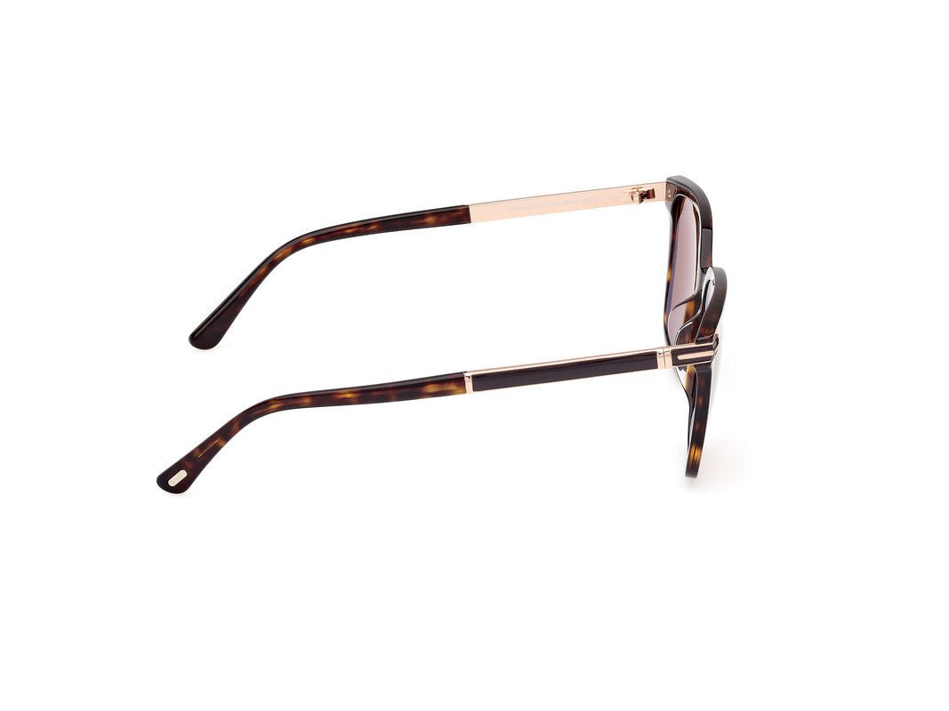 Dark Havana Male Sunglasses Tom Ford 889214549112
