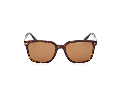 Dark Havana Male Sunglasses Tom Ford 889214549112