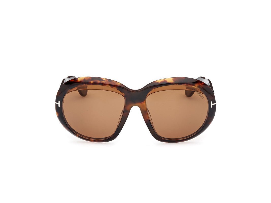 Dark Havana Female Sunglasses Tom Ford 889214549457