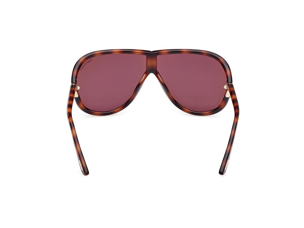 Blonde Havana Unisex Sunglasses Tom Ford 889214549556