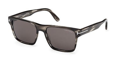 FT1205 - Tom Ford - (Multicolor/Tortoise) - Coloured Havana - 55 MM - Ardor Eyewear 889214558398