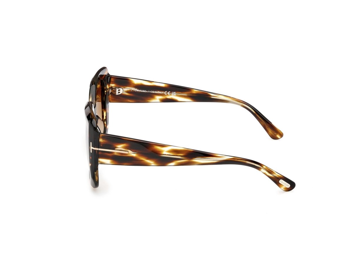 Coloured Havana Female Sunglasses Tom Ford 889214558893