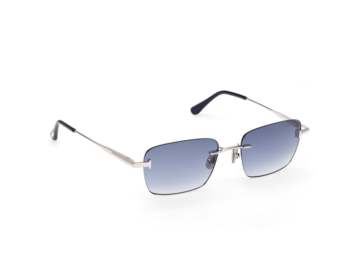 Shiny Palladium Unisex Sunglasses Tom Ford 889214635174
