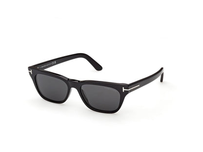 Shiny Black (01A) Unisex Sunglasses Tom Ford 889214642363