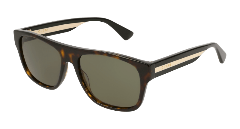 Havana Sunglasses Gucci 889652155630