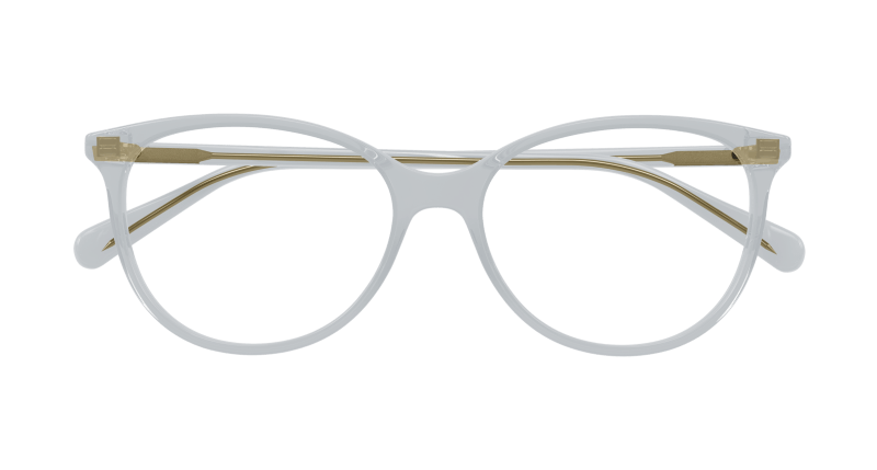 Grey Eyeglasses Gucci 889652539720