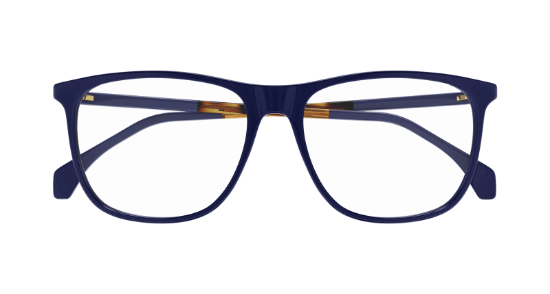 Blue Eyeglasses Gucci 889652531410