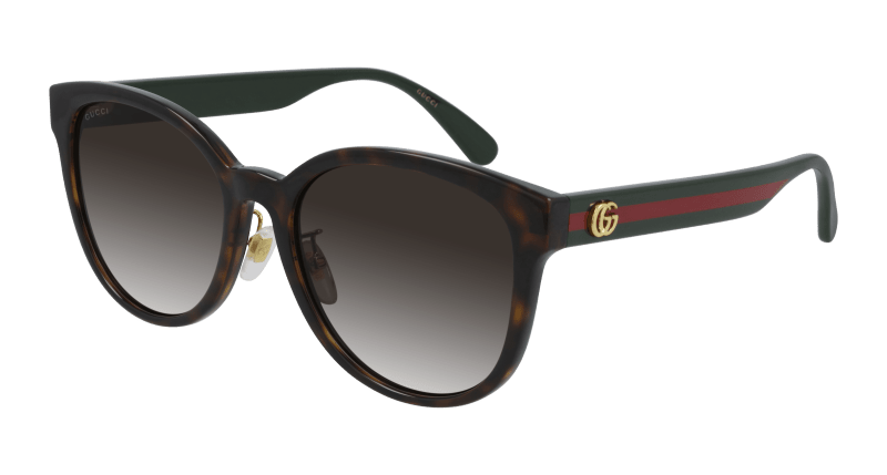 Havana Sunglasses Gucci 889652310497