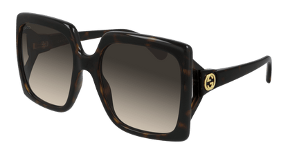 Havana Sunglasses Gucci 889652324661