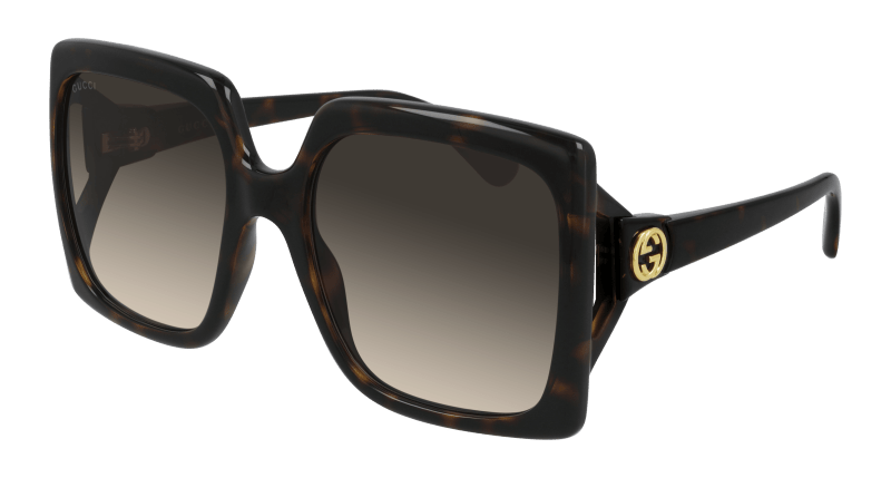 Havana Sunglasses Gucci 889652324661