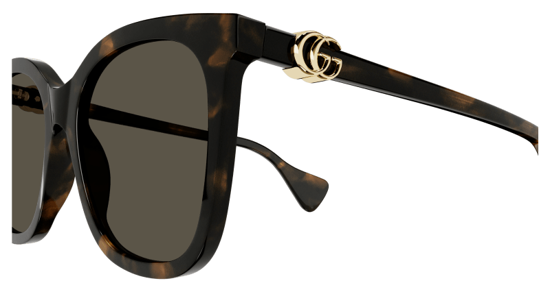 Havana Sunglasses Gucci 889652375144