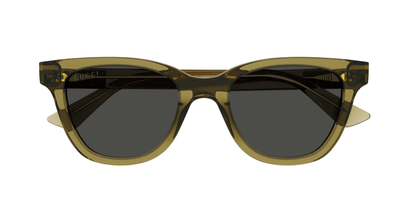 Brown Sunglasses Gucci 889652379630