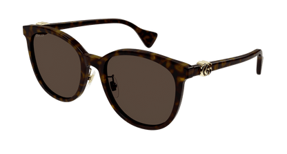 Havana Sunglasses Gucci 889652394770