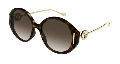 Havana Sunglasses Gucci 889652392455