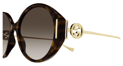 Havana Sunglasses Gucci 889652392455