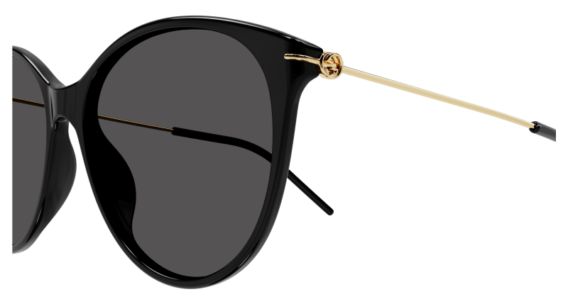 Sunglasses Gucci 889652415499