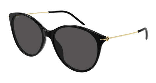 Sunglasses Gucci 889652415499