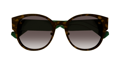 Havana Sunglasses Gucci 889652415314