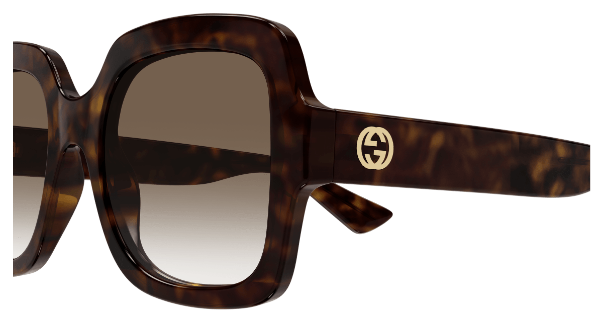 Havana Sunglasses Gucci 889652413075