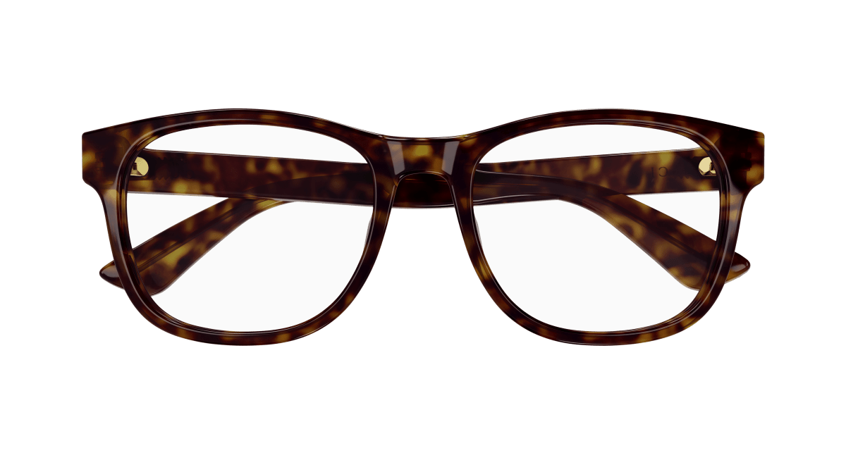 Gucci GG1344O Havana 889652412986