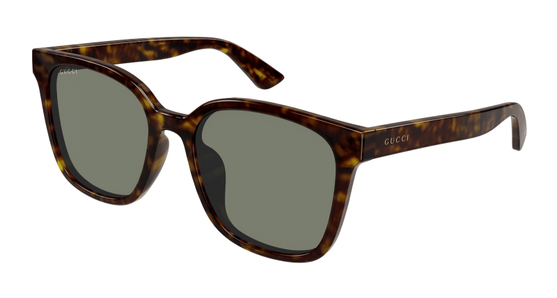 Havana Sunglasses Gucci 889652413631