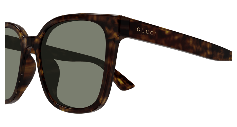Havana Sunglasses Gucci 889652413631