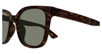 Havana Sunglasses Gucci 889652413631