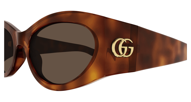 Havana Sunglasses Gucci 889652437736