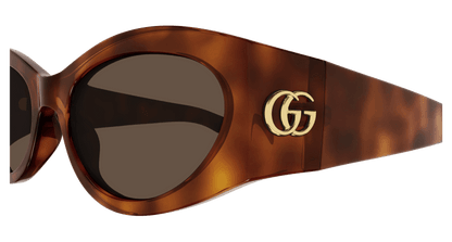 Havana Sunglasses Gucci 889652437736