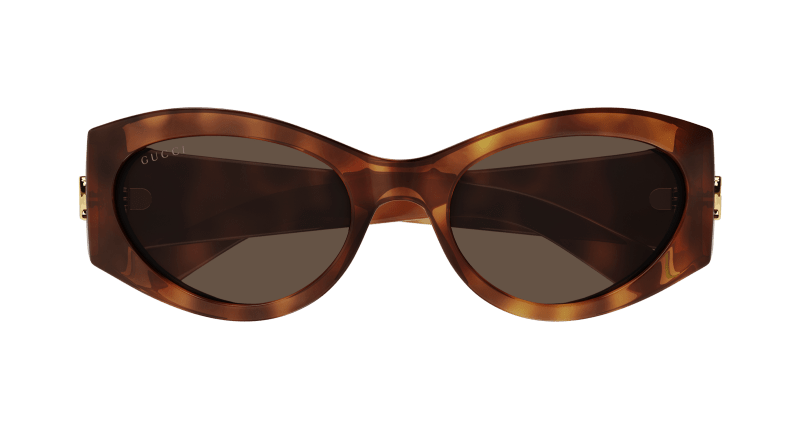 Havana Sunglasses Gucci 889652437736
