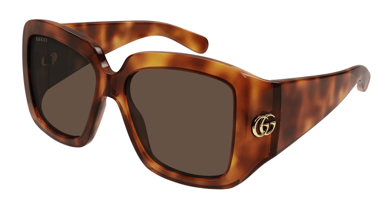 Havana Sunglasses Gucci 889652437774
