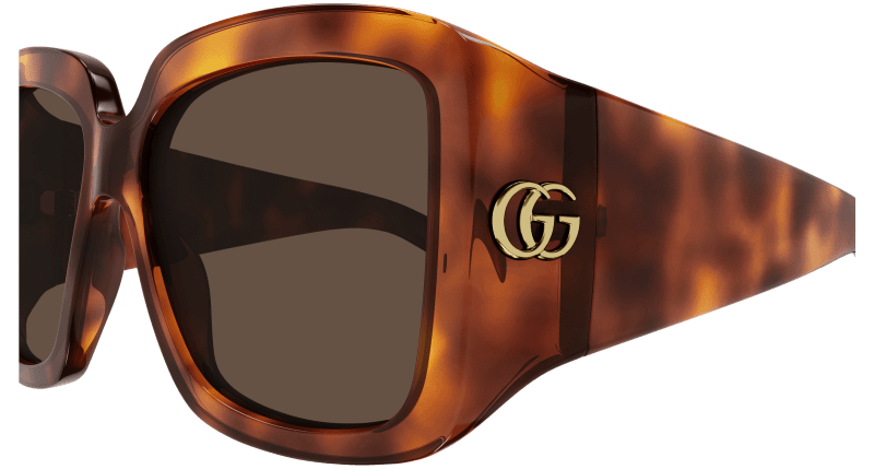 Havana Sunglasses Gucci 889652437774
