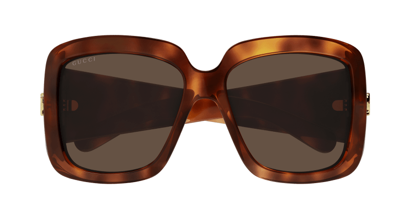 Havana Sunglasses Gucci 889652437774