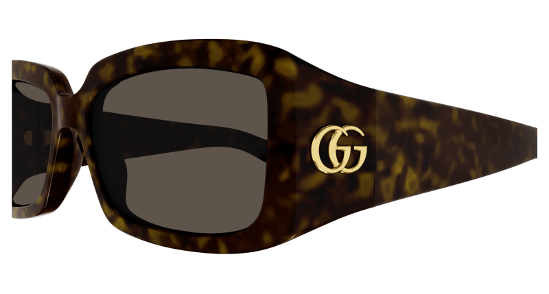 Havana Sunglasses Gucci 889652437811