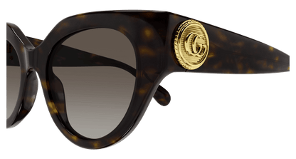 Havana Sunglasses Gucci 889652437903