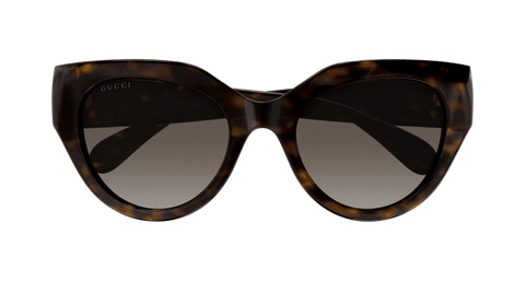 Havana Sunglasses Gucci 889652437903