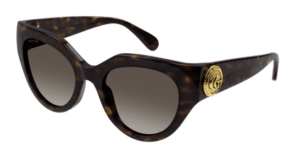 Havana Sunglasses Gucci 889652437903