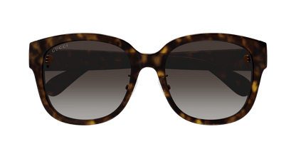 Havana Sunglasses Gucci 889652440743