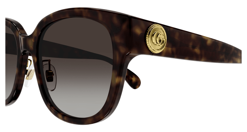 Havana Sunglasses Gucci 889652440743