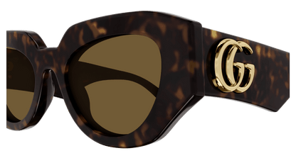 Havana Sunglasses Gucci 889652439082