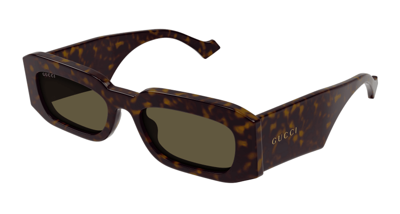 Havana Sunglasses Gucci 889652439815