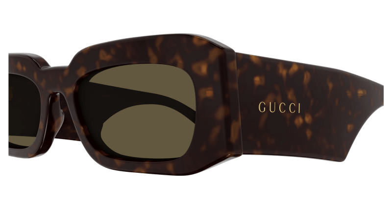 Havana Sunglasses Gucci 889652439815
