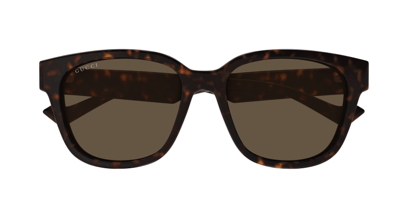 Havana Sunglasses Gucci 889652441351