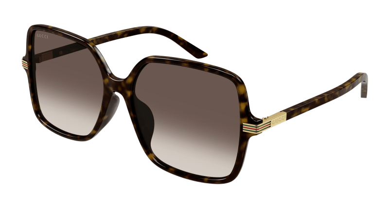 Havana Sunglasses Gucci 889652441016